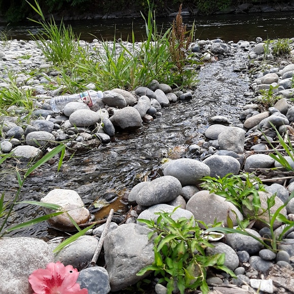 Closet - Picture 1 of 1